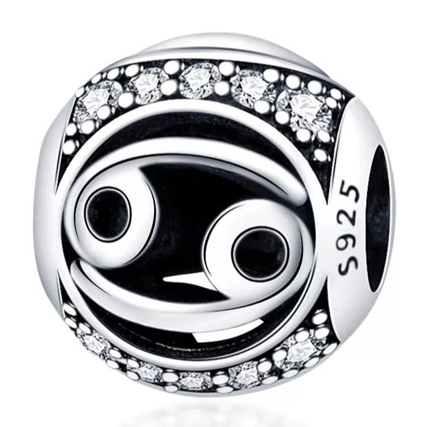 Charm esfera signo del zodiaco de plata s925